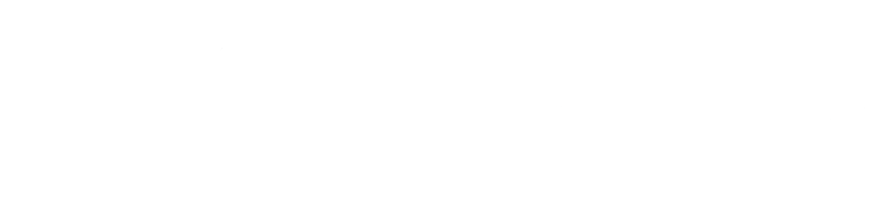 The Travel timez logo
